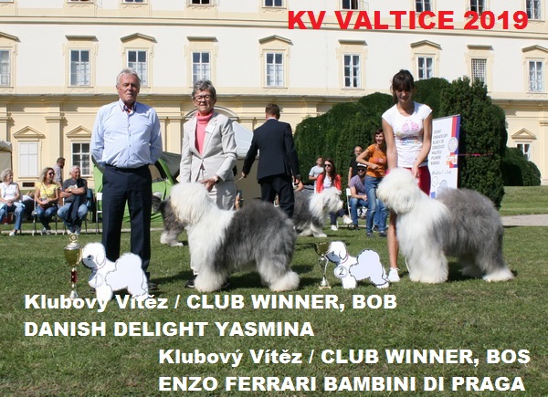 2019kv bob bosE0289AB0 4114 873F 3DE0 0F1F7D03BF63