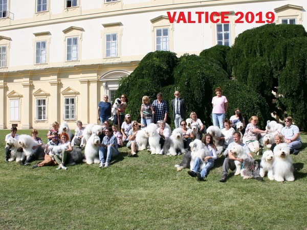 v2019 groupEE423F0F 087F 28F1 A9AD A7F597DFB037