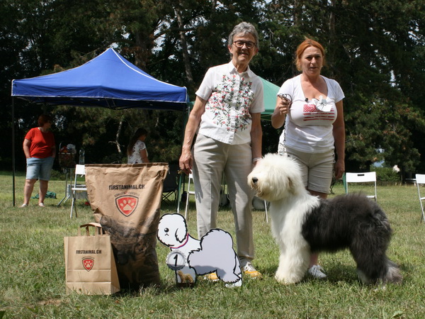 2021sv best puppyAE44EA9E CBEF 42CB A022 9FEE51EB844E